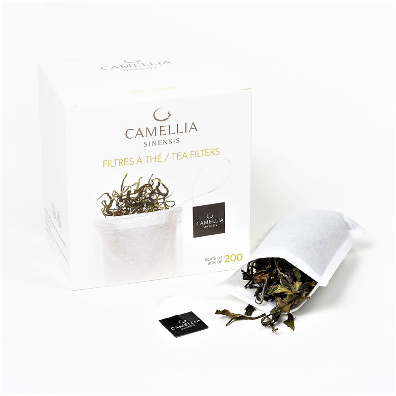 Filtres à thé (Camellia sinensis)